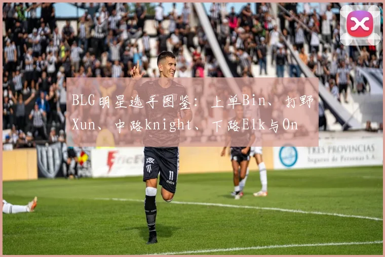 BLG明星选手图鉴:上单Bin、打野Xun、中路knight、下路Elk与On