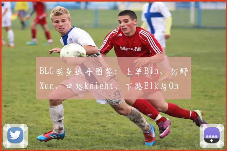 BLG明星选手图鉴:上单Bin、打野Xun、中路knight、下路Elk与On